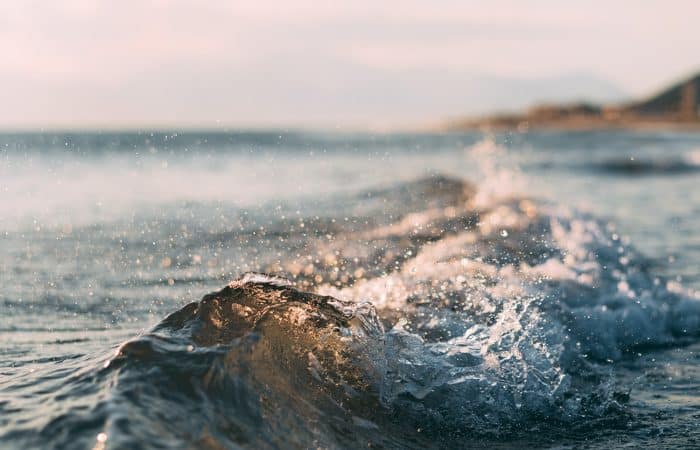 Runderlever supplementen mee op vakantie? Een aantal tips!