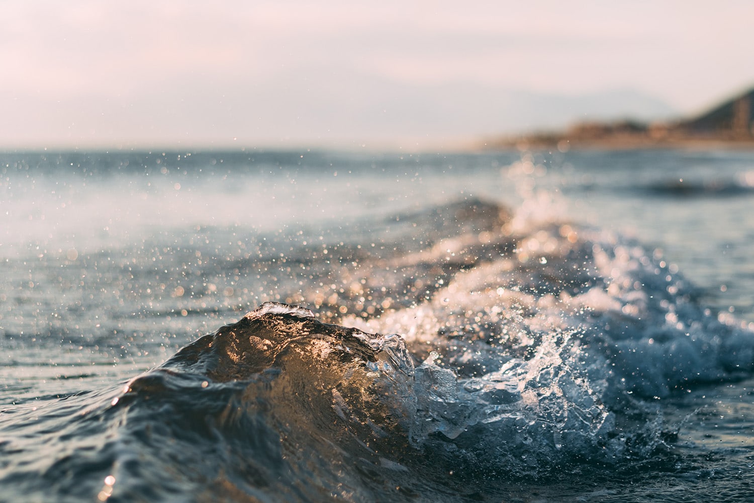 Runderlever supplementen mee op vakantie? Een aantal tips!