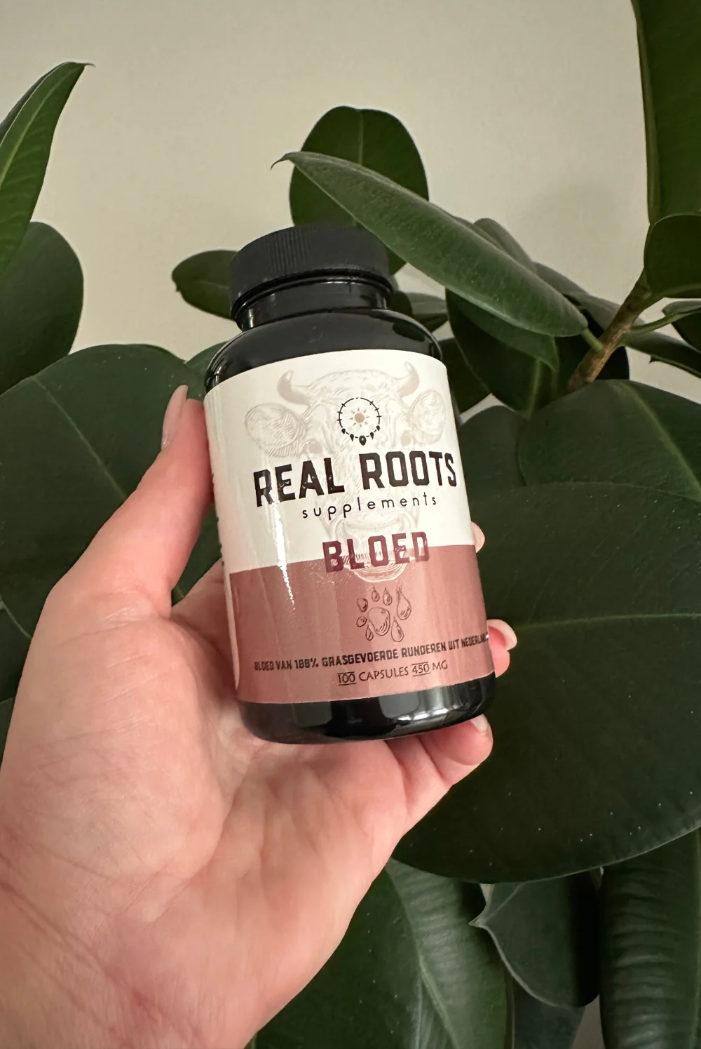 Real Roots - Bloed
