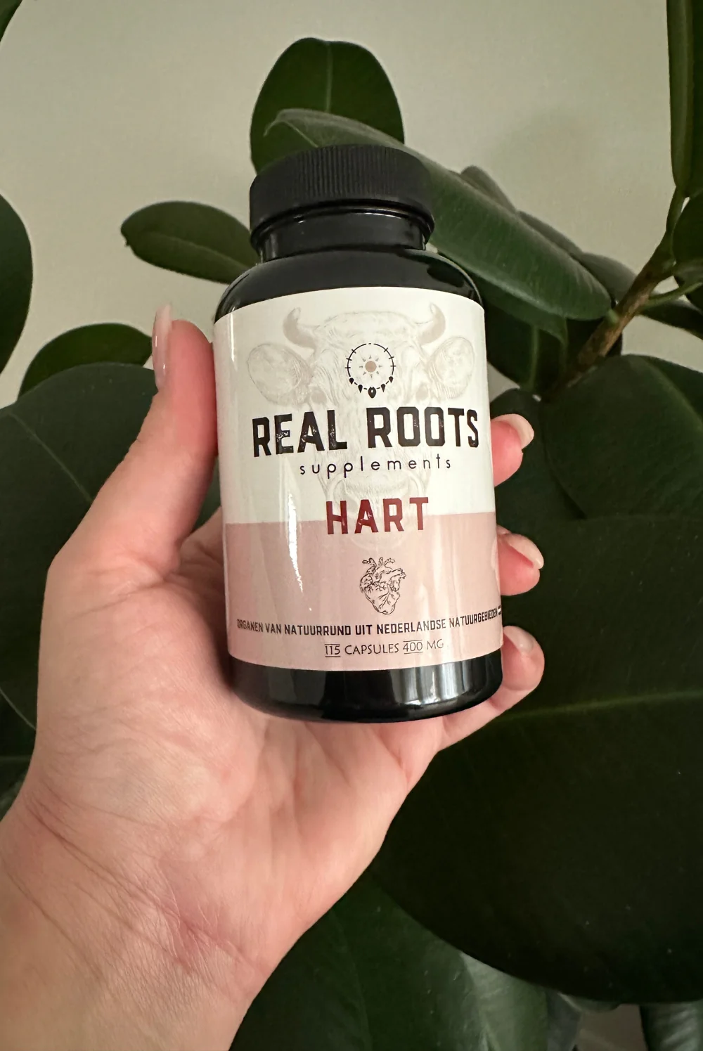 Real Roots - Hart