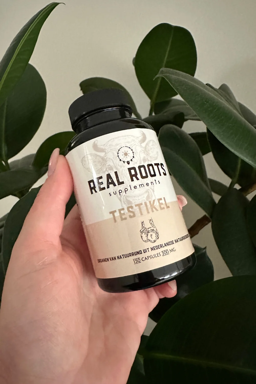 Real Roots - Testikel