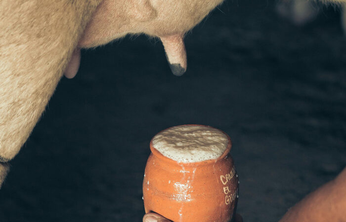 De 5 voordelen van biest