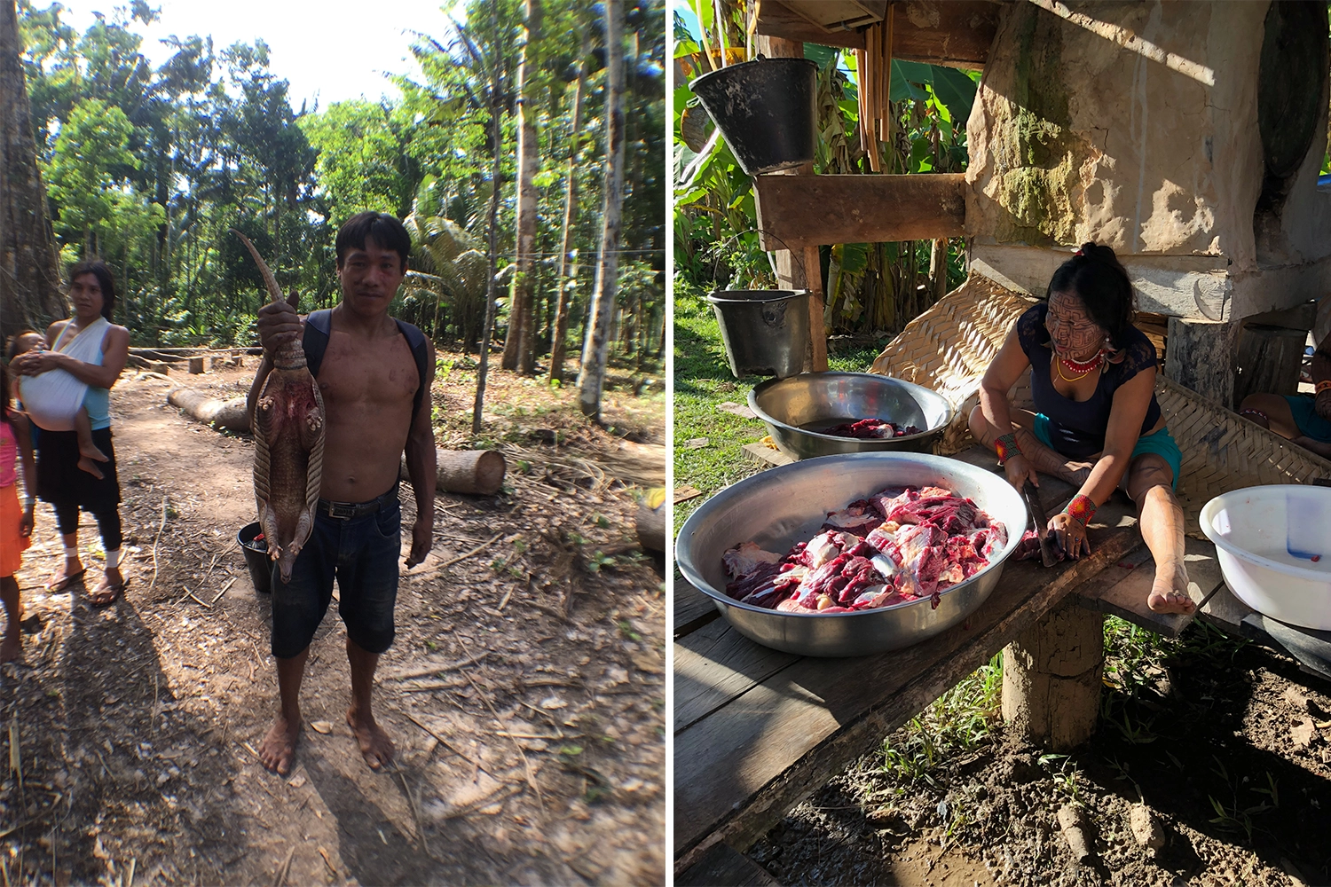 Paleo Powders - Jager met Armadillo